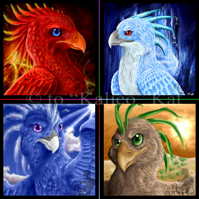 Phoenix_of_the_Elements_by_kalicothekat.jpg