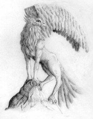 Gryf_by_Vennatrix.jpg
